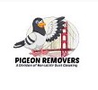 Pigeon Removers